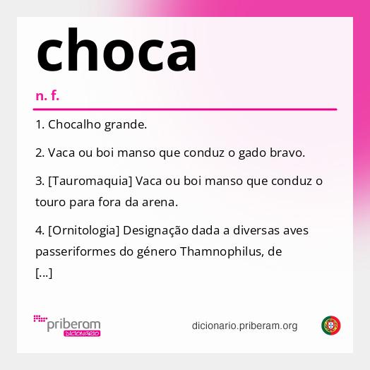 Significado de choca